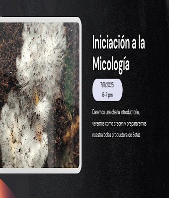 Iniciación a la micología - Charla y taller de cultivo en Zaragoza