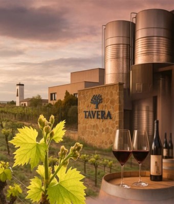 Bodega Tavera: Visita en Toledo