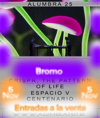 Bromo Live AV en Granada