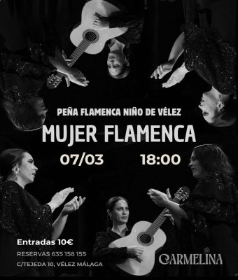 MUJER FLAMENCA en Málaga