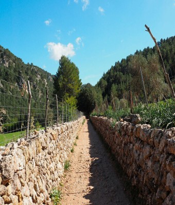 L'ofici de marger, una feina de futur en Balears, Illes