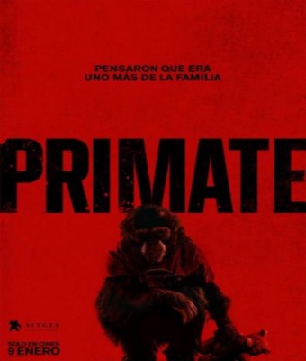 Primate en BADAJOZ