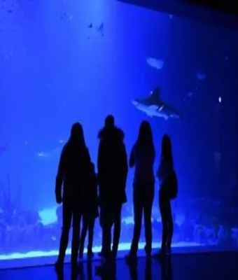 Atlantis Aquarium en Madrid