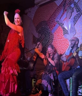 Tablao Flamenco El Toro y la Luna Espectáculo & Cena & Bebida en Valencia