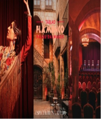 Espectáculo Flamenco en el Palau Dalmases en Barcelona