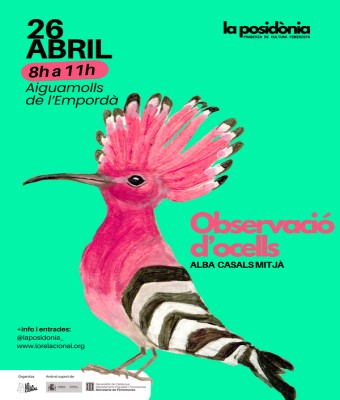Observació d'ocells en Girona