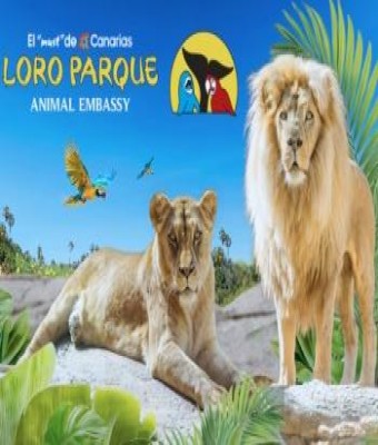 LORO PARQUE en Tenerife - Puerto de la Cruz