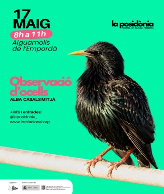 Observació d'ocells en Girona