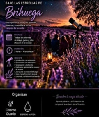 Bajo las Estrellas de Brihuega en GUADALAJARA