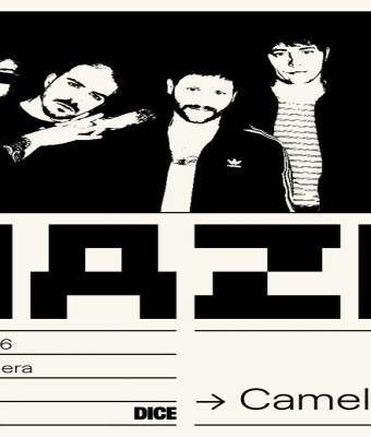 Camellos en MAZO en Madrid