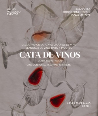 CATA DE VINO + PICOTEO en Valencia/València