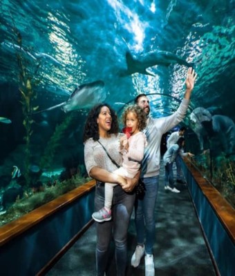 Loro Parque: Entrada en Tenerife