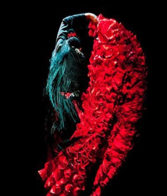 Entradas para el Museo del Baile Flamenco en Sevilla