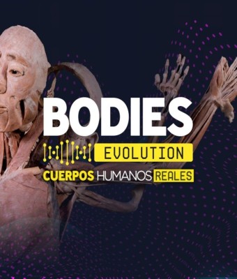 BODIES EVOLUTION EN A CORUÑA