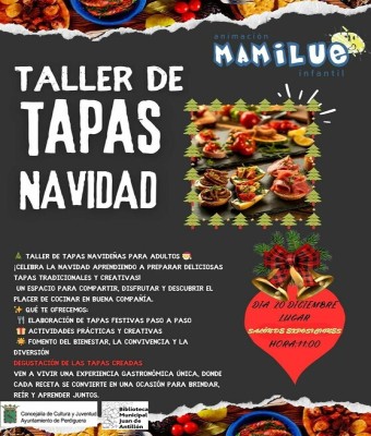 TALLER DE TAPAS NAVIDEÑO en Zaragoza