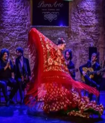 Tablao Flamenco Puro Arte en Cádiz en Jerez de la Frontera