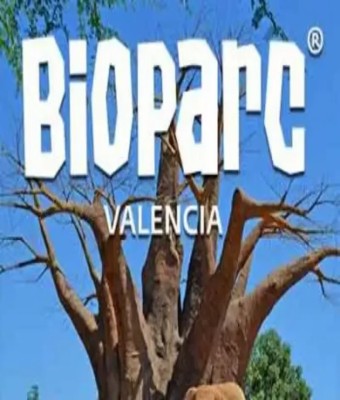 Entradas Para Grupos - Bioparc en Valencia