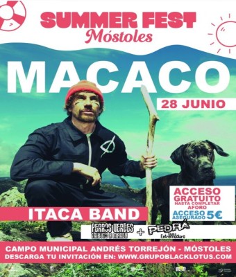 Macaco en Móstoles en Madrid