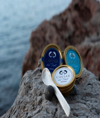 Sabores del Mundo: Edición Oro Gastronómico en Balears, Illes