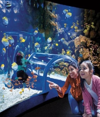 Poema del Mar - Acuario Gran Canaria: Entrada sin colas en Las Palmas de Gran Canaria