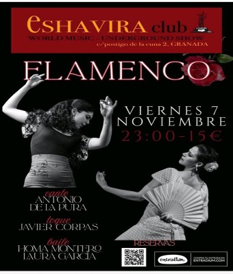 Trasnoche flamenco  en Granada