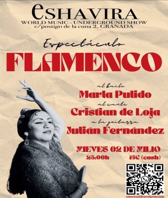 ESPECTÁCULO FLAMENCO en Granada