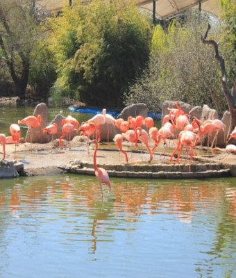 ¡Entradas para Faunia! en Madrid