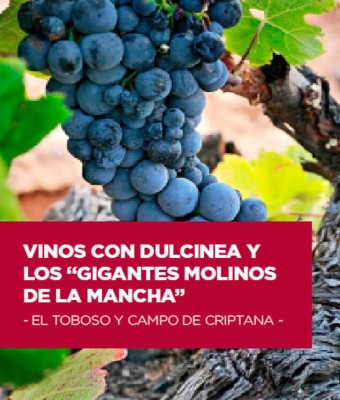 Vinos con Dulcinea en Toledo