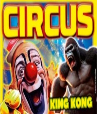 Circus Francés en Puerto del Rosario - Fuerteventura en Lanzarote