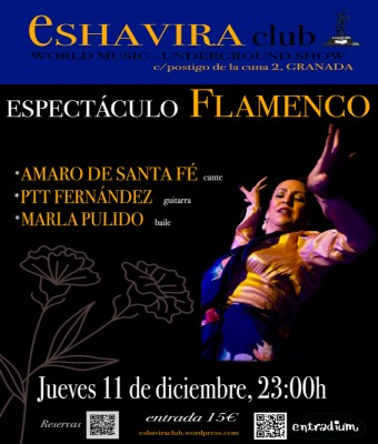 ESPECTÁCULO FLAMENCO en Granada