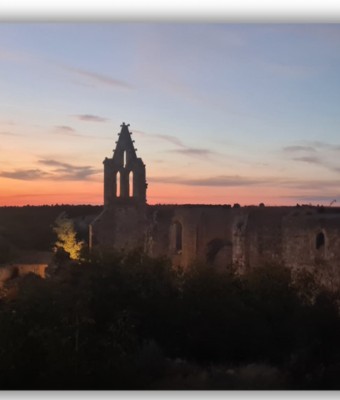 Visita guiada al Monasterio de la Armedilla. Domingo 30 de Noviembre 15 hs. y 16 hs. en Valladolid