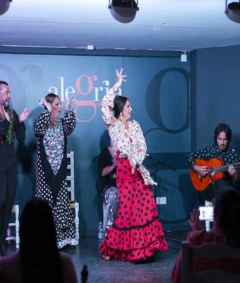 Alegría Málaga: Espectáculo Flamenco en Malaga