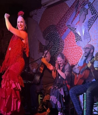 Tablao Flamenco El Toro y la Luna Espectáculo & Cena & Bebida en Valencia