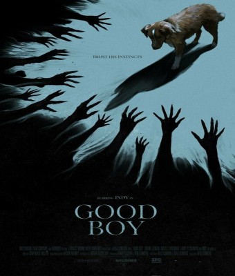 GOOD BOY en Murcia