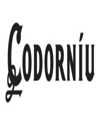 Bodegas Codorníu - Visitas Guiadas en Sant Sadurní d'Anoia 
