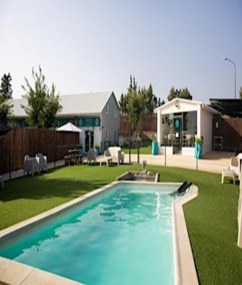 VivePets Piscina Canina | Turno ESPECIAL -13kg en Las Rozas de Madrid