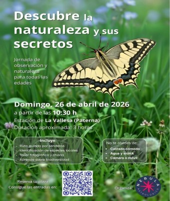 Descubre la naturaleza y sus secretos en Valencia/València