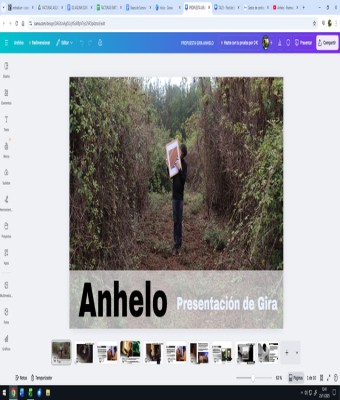 Anhelo - Sótano Analógico en Palmas, Las
