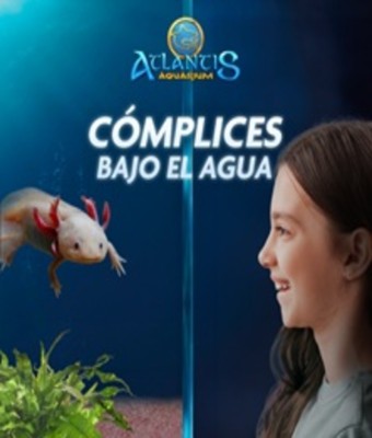 Atlantis Aquarium en ARROYOMOLINOS
