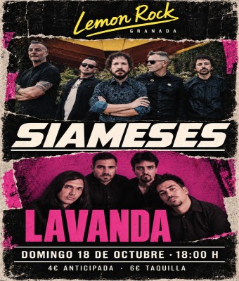 Siameses y Lavanda en Lemon Rock en Granada
