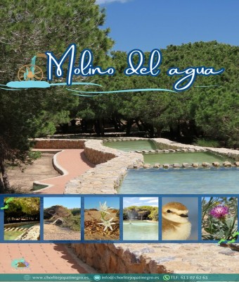Descubre el Molino del Agua en Alicante/Alacant