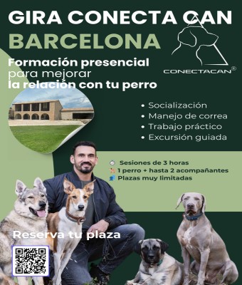 BARCELONA SABADO MAÑANA