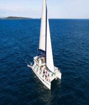 Tours y Excursiones en Catamarán: Gandía en Gandía 