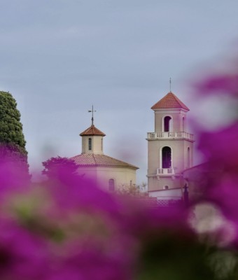 FESTIVAL FLORAL - DIVENDRES 22 DE MAIG - VISITA GUIADA en Barcelona