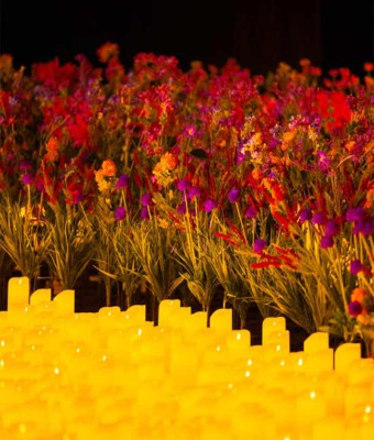 Candlelight: Lo mejor de Bridgerton en Granada