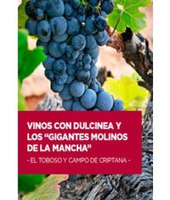 Vinos con Dulcinea en Toledo - Museo Cervantino