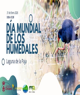 Día Mundial de los Humedales 31 Enero 2026 Chiclana de la Frontera