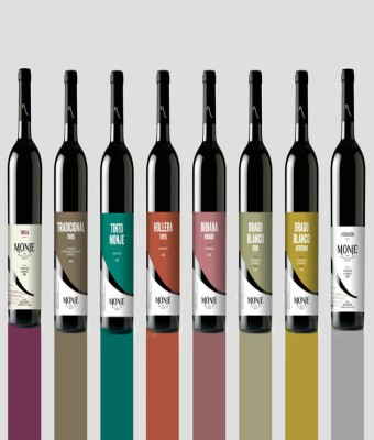 CATA DE VINOS: BODEGA MONJE en Santa Cruz de Tenerife