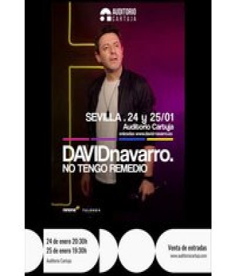 No Tengo Remedio - David Navarro en Sevilla - Auditorio Cartuja