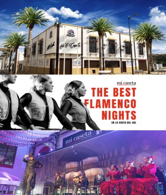 Espectáculo Flamenco en Estepona en Málaga
